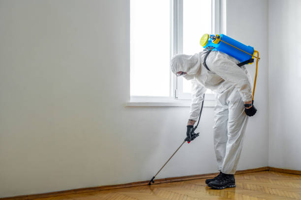 Best Flea Control Services  in Wrightsboro, NC