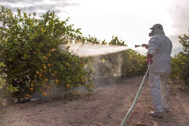 Best Best Pest Control Companies  in Wrightsboro, NC