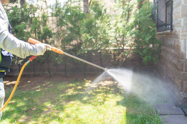 Spider Control Near Me in Wrightsboro, NC