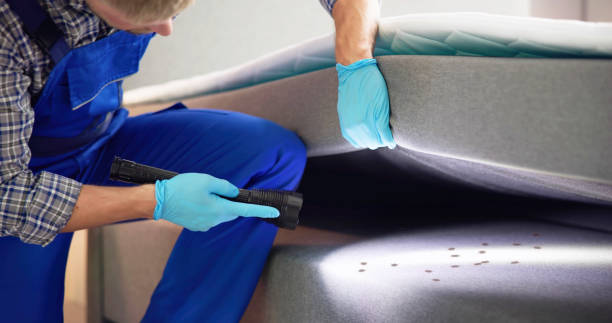 Best Emergency Pest Control  in Wrightsboro, NC
