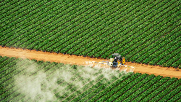 Best Pest Control Cost  in Wrightsboro, NC