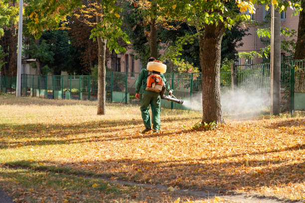 Best Termite Control Services  in Wrightsboro, NC