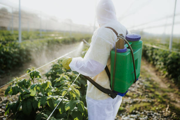 Wasp Removal Services in Wrightsboro, NC